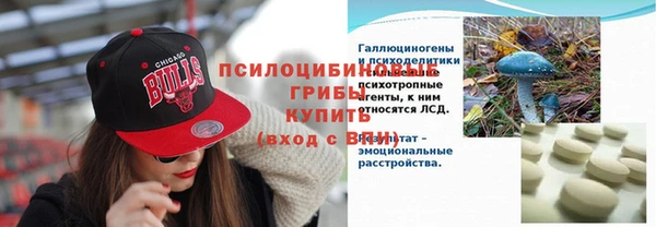 кокс Козловка