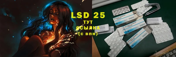 spice Кодинск