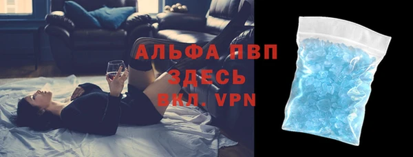 стаф Чита