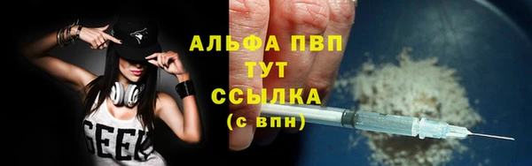 spice Кодинск
