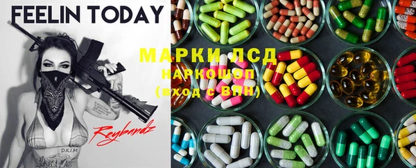 spice Кодинск