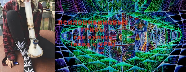 эйфоретик Козельск