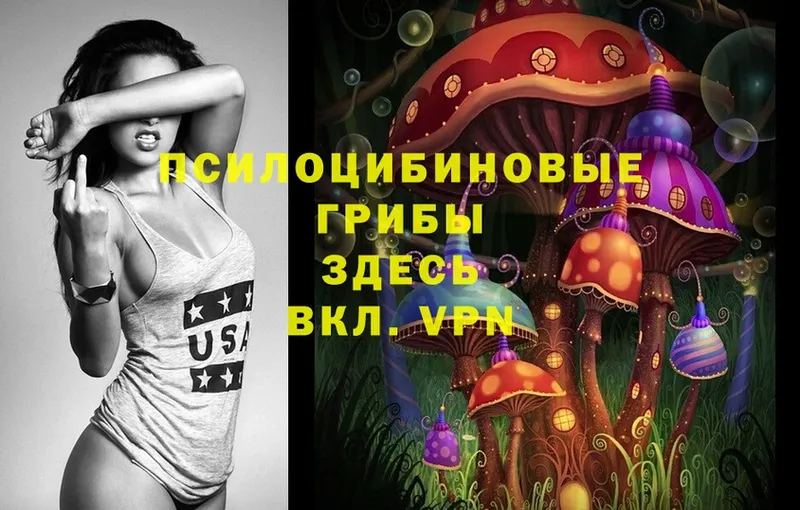 Галлюциногенные грибы Psilocybe  Батайск 