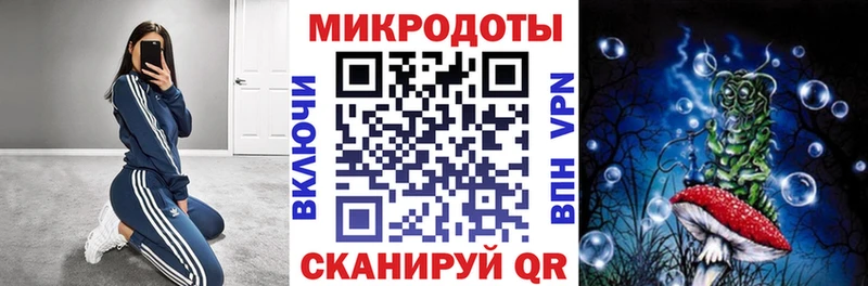 где найти Батайск Галлюциногенные грибы Cubensis