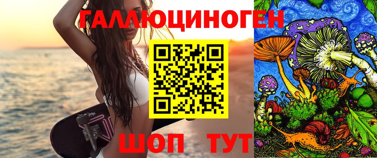 Батайск  Псилоцибиновые грибы прущие грибы  Вход с VPN  Псилоцибиновые грибы GOLDEN TEACHER 