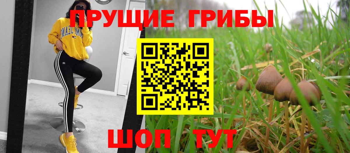 Галлюциногенные грибы Magic Shrooms  Галлюциногенные грибы Psilocybine cubensis  Батайск 